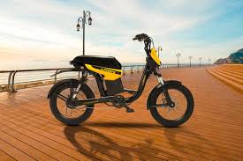 Ebike bicycles is best for greener sustainability in society
